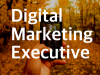 Digital Marketing Executive Jobs in Gurgaon