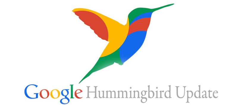 google update HummingBird
