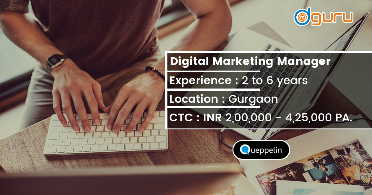 Digital Marketing Manager Job Queppelin Tech Gurgaon India